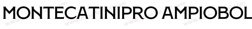 MontecatiniPro AmpioBold字体转换